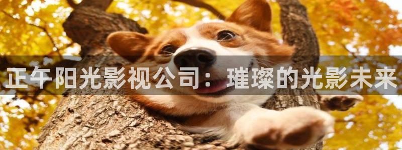 91电影院,男人的天堂