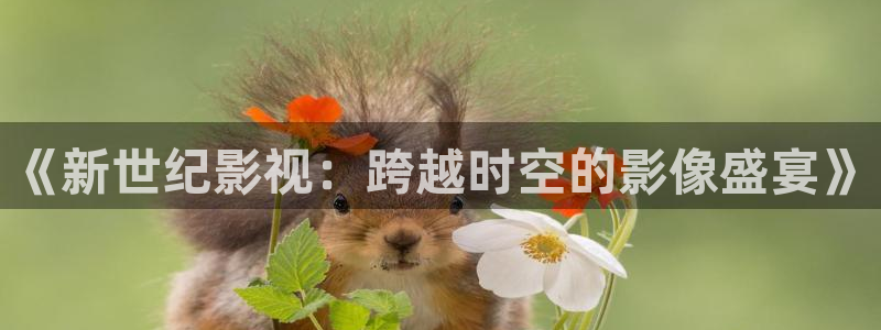 男人的天堂午夜电影院
