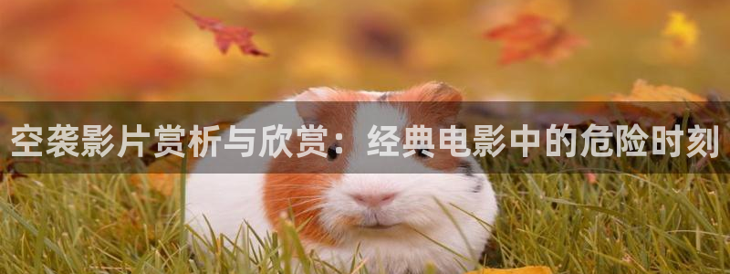 禁天堂漫安装