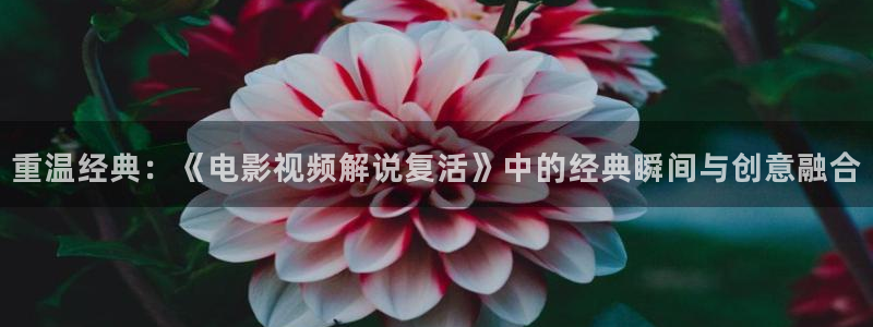 神马天堂在线影院