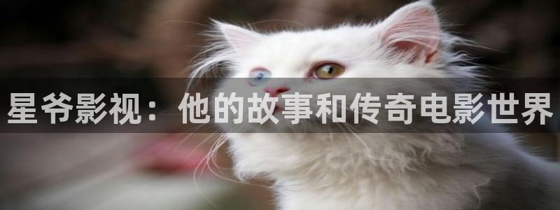 ok电影天堂伦理