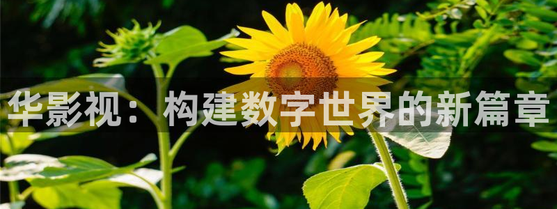 污漫天堂