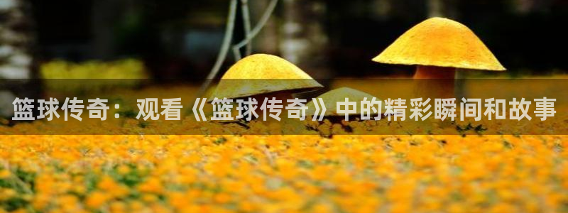 星辰影院电影天堂