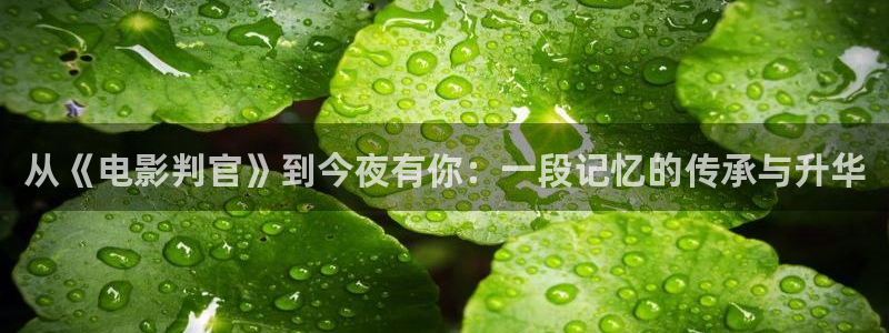 电影天堂在线观看