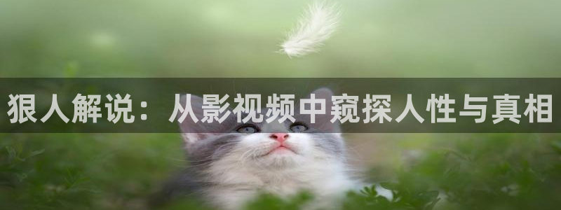 在线影院91天堂