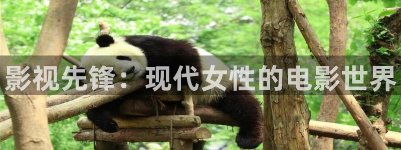 天堂影院电视剧全集在线