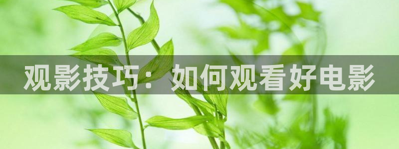 涩漫天堂破解