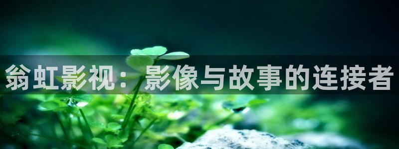 51视频光棍天堂
