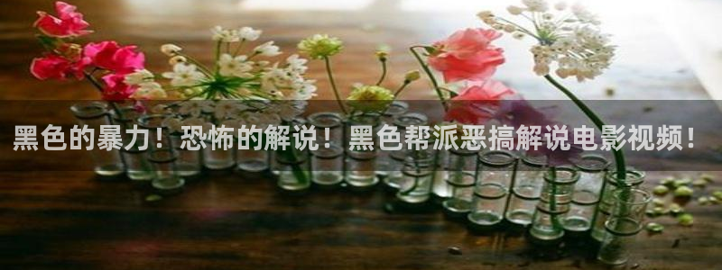 光棍天堂影院手机在线观看
