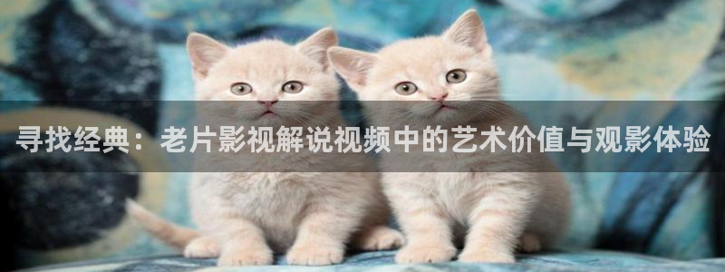 天堂影院免费在线观看电影电视剧