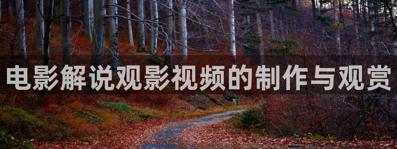 麻豆av电影天堂：电影解说观影视频的制作与观赏