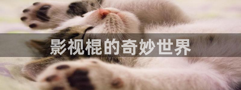 6080yy电影天堂：影视棍的奇妙世界