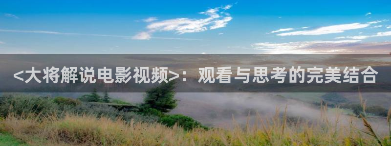 天堂影院在线电影观看：<大将解说电影视频>：观看与思考的完美结合