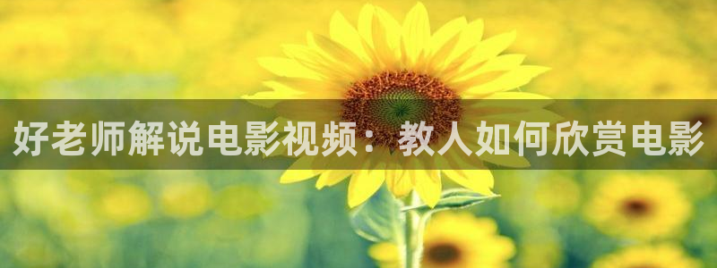 光棍天堂在线观看视频全集：好老师解说电影视频：教人如何欣赏电影