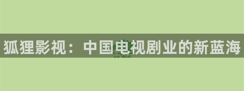 涩漫天堂网：狐狸影视：中国电视剧业的新蓝海