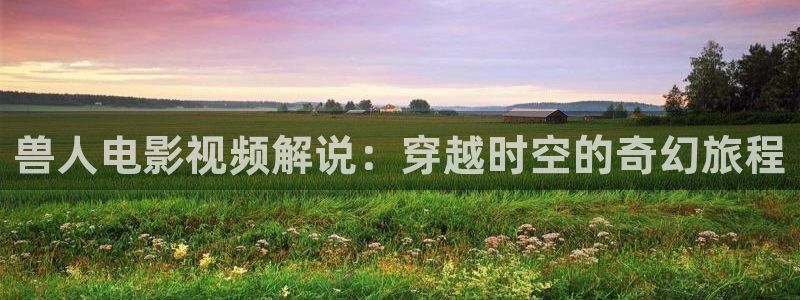 av天堂高清不卡：兽人电影视频解说：穿越时空的奇幻旅程