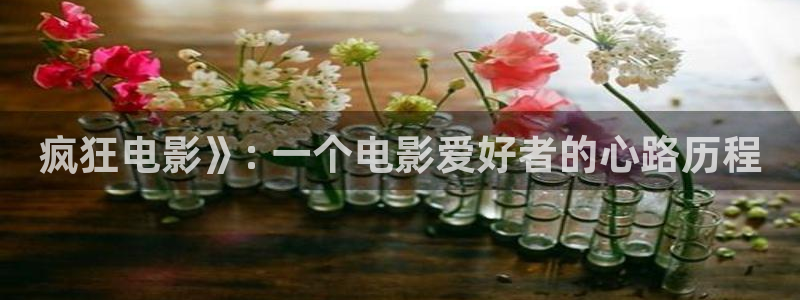 天堂私人影院：疯狂电影》: 一个电影爱好者的心路历程