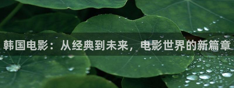 禁番天堂：韩国电影：从经典到未来，电影世界的新篇章