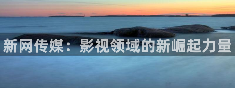 光棍天堂电影在线看片：新网传媒：影视领域的新崛起力量