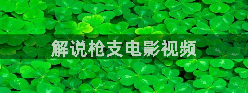 91天堂影院在线观看：解说枪支电影视频