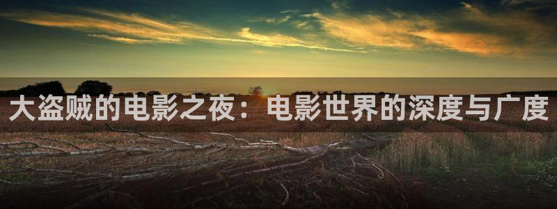 天狼电影天堂：大盗贼的电影之夜：电影世界的深度与广度