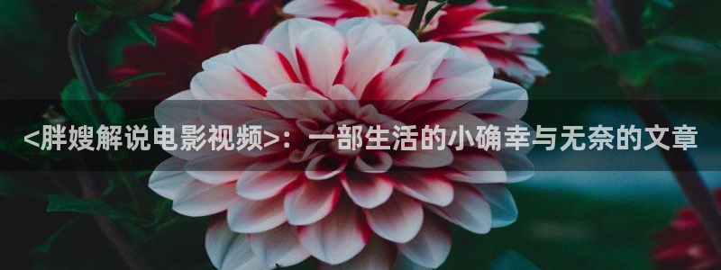 91电影院男人的天堂：<胖嫂解说电影视频>：一部生活的小确幸与无奈的文章