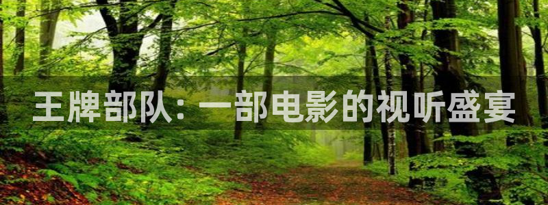 电影天堂动画片：王牌部队: 一部电影的视听盛宴