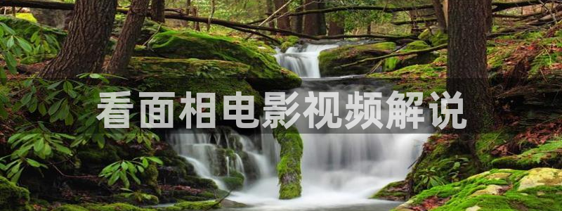 久久亚洲天堂视频：看面相电影视频解说