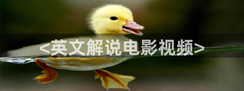 电影天堂网午夜：<英文解说电影视频>