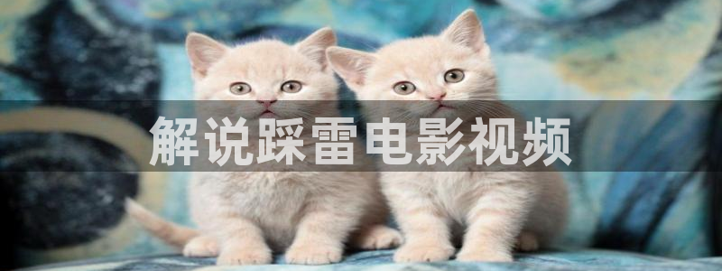 漫禁娘天堂为什么进不去：解说踩雷电影视频