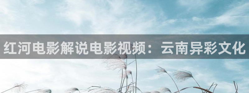 动画片天堂：红河电影解说电影视频：云南异彩文化