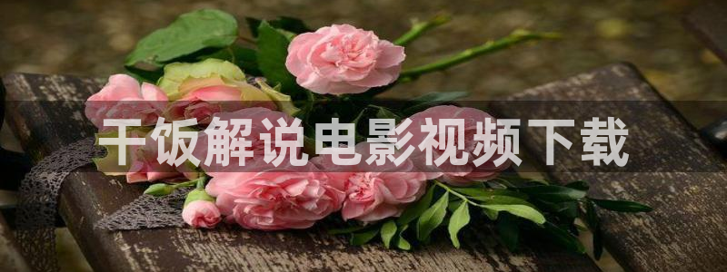 天堂影院免费观看电影：干饭解说电影视频下载