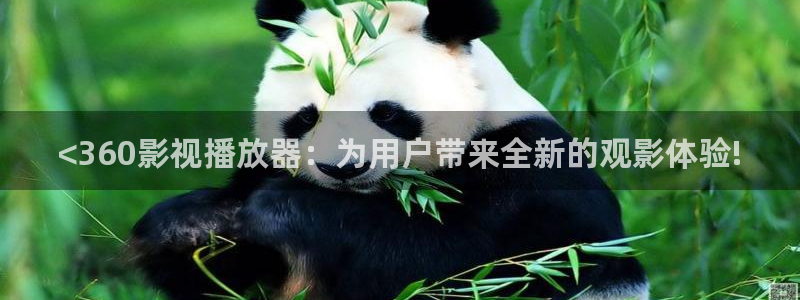 天堂视频不卡