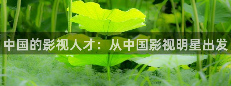 涩漫天堂在线看