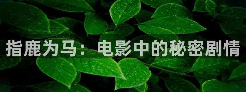 天堂韩漫在线观看