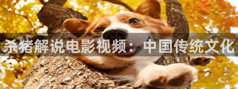 漫禁天堂怎么下