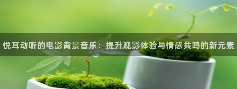光棍天堂在线播放免费