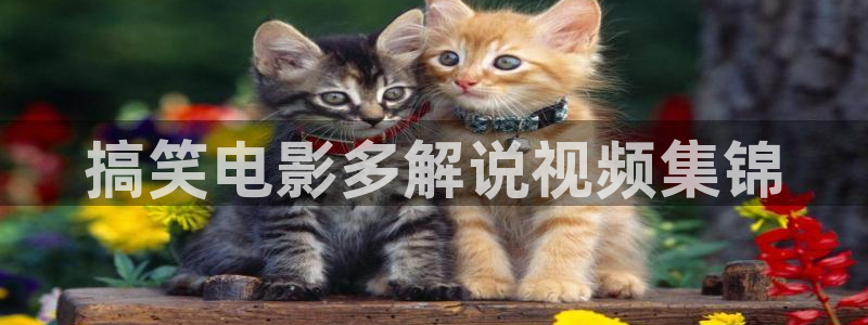 神马影院电影天堂