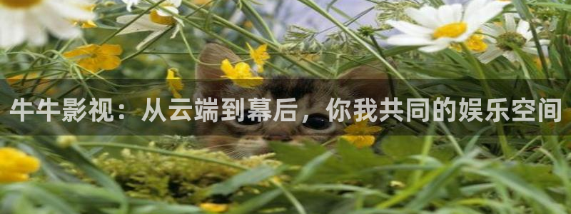 私人影院天堂