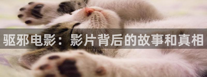 神马电影影院天堂