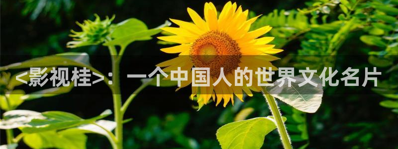 天堂影院电视剧全集在线