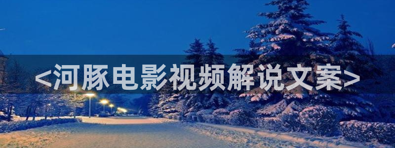成人影院午夜男人的天堂