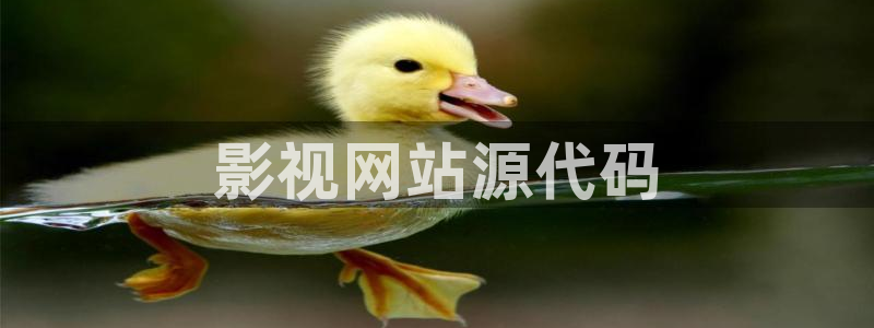 天堂影院免费观看电影