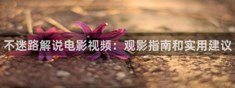 天堂影院电影在线观看：不迷路解说电影视频：观影指南和实用建议