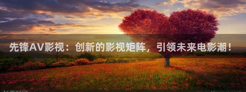 男人的天堂午夜在线：先锋AV影视：创新的影视矩阵，引领未来电影潮！