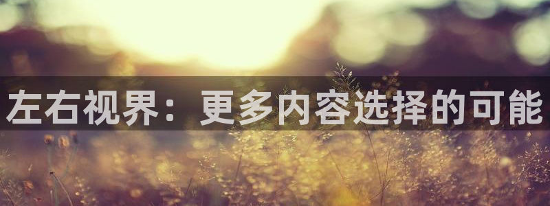 天堂影院在线观看：左右视界：更多内容选择的可能