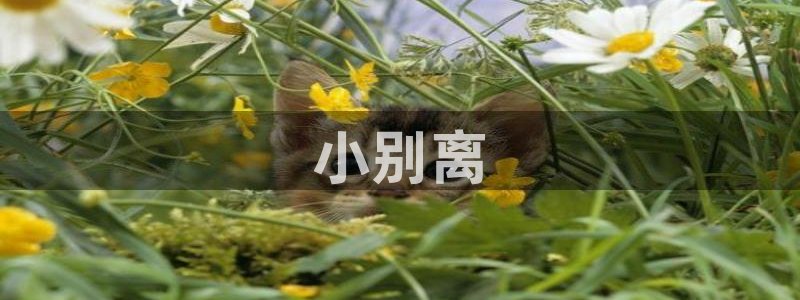 羞漫天堂