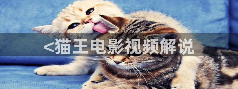 ok电影天堂神马影院