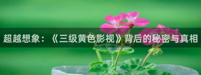 神马影院天堂影院